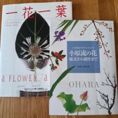 小原流の花 様式から創作まで　2冊セット 小原流の花 様式から創作まで 2冊セット - メルカリ