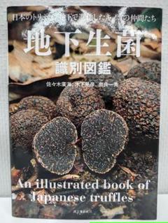 日本のトリュフ。地下で進化したキノコの仲間たち 地下生菌 識別