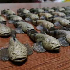 チョコエッグ　アユカケ　４０体のサムネイル