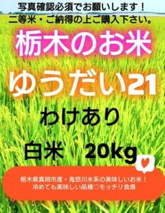 ワケアリ！ゆうだい21・20kg ワケアリ！ゆうだい21・20kg - メルカリ