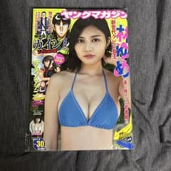 ヤングマガジン 2019年 No.30 林ゆめのサムネイル