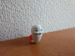 소년 아시베 참깨 루어