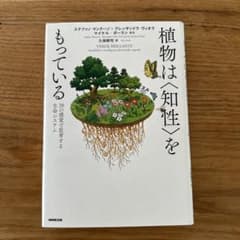 植物は知性をもっているのサムネイル