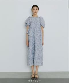新品タグ付き】ANDRESDバブルスリーブジャガードドレス オケージョン L 