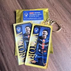 V・ファーレン長崎 勝利時限定 ディエゴピトゥカ キーホルダー＆ステッカーのサムネイル