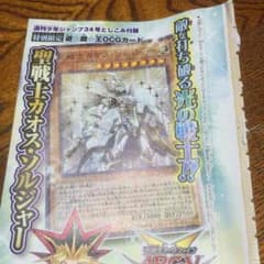聖戦士カオス・ソルジャーのサムネイル