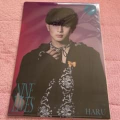 超特急 ハル NINE LIVES クリアファイル REAL 会場限定 CD - メルカリ
