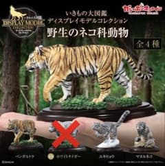 いきもの大図鑑 ネコ科　３種のサムネイル