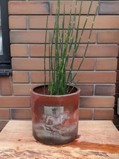 구리 화분 보선 寶 조각 파문 화분 커버 화분 화분 화분 금속 공예 고민구 레트로