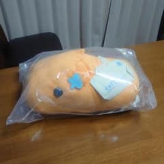 이치 반 쿠지 카피바라 씨 earth 봉제 장난감 갑니다 Monday 상