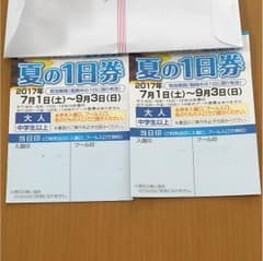 としまえん 大人中学生以上夏の１日券 2枚のサムネイル
