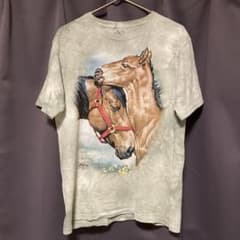 THE MOUNTAIN ザマウンテン タイダイ柄馬Tシャツ USA古着のサムネイル