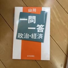 山川 一問一答 政治・経済 山川出版社のサムネイル
