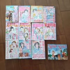 レディースコミック 女性漫画誌 まとめ売り 11冊 ＋ おまけ 2冊 - メルカリ