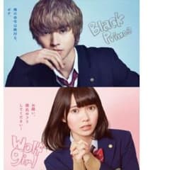 非売品 オオカミ少女と黒王子 ポスター 山﨑賢人のサムネイル