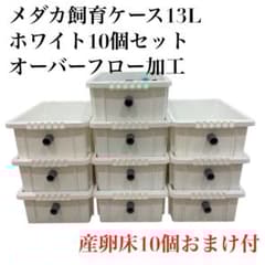 新品】メダカ飼育ケース NVボックス 13L 10個セット オーバーフロー