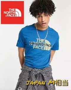 ★日本未発売★ノースフェイス　イギリスS日本Mサイズのサムネイル