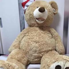 コストコくま135cm サンタバージョンのサムネイル
