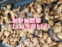 新鮮無農薬ひね生姜1キロ - メルカリ