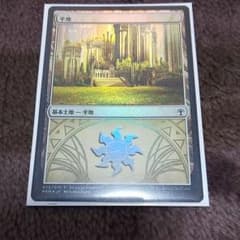 MTG 平地 ラヴニカウィークエンドのサムネイル