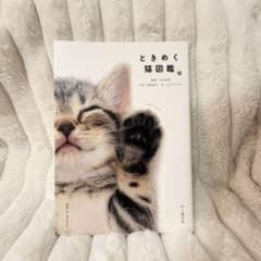 ときめく猫図鑑のサムネイル
