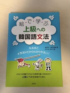 絵で学ぶ上級への韓国語文法 : なるほど、イラストだからわかりやすい!のサムネイル