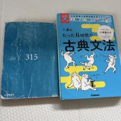 古文単語315 八澤のたった6時間で古典文法のサムネイル