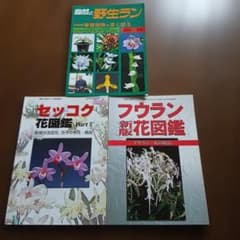 自然と野生ラン 他　雑誌 3冊セットのサムネイル