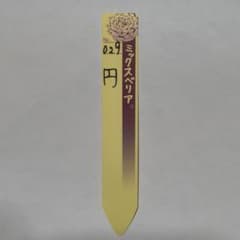 029 円 ミックスベリア　札のサムネイル