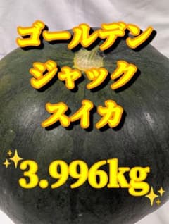 665 匿名発送！千葉県産ゴールデンジャックスイカ　高糖度１玉 3.996kgのサムネイル