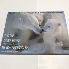 2026星野道夫ベストセレクション極北の動物たちカレンダー - メルカリ