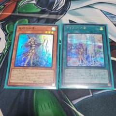 遊戯王 聖殿の水遣い アラメシアの儀 スーパー シークレット セットのサムネイル