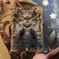 聖霊王の聖典 アルカディアスバイブル シークレット - メルカリ