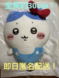 당일 익명 배송 치이카와×산리오 캐릭터즈 BIG 봉제인형 하치와레