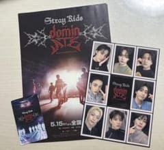Stray Kids dominATE スキズ映画 特典 フライヤーお値下げ可
