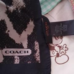 haru run様専用です！COACHピアスのサムネイル