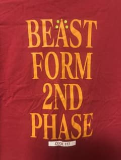 エヴァンゲリオン 2号機 ビーストモード UT Tシャツ Mのサムネイル