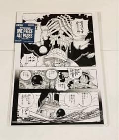 [미개봉] ONE PIECE ALL PAGES 스릴러 파크편