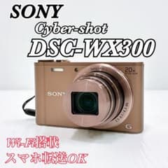 EZ-013【完動品 microSD付】SONY DSC-WX300 ブラウン - メルカリ