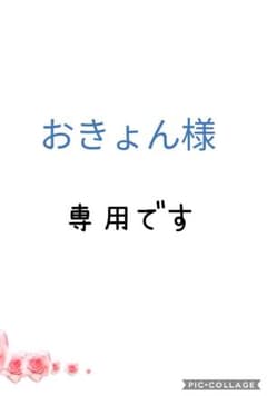 おきょん様 専用出品のサムネイル