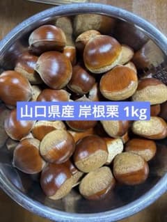 山口県産 岸根栗 1kgのサムネイル