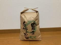 令和８年産　新米　高知県産コシヒカリ　※玄米20kg（10kg×2袋）農家直送のサムネイル