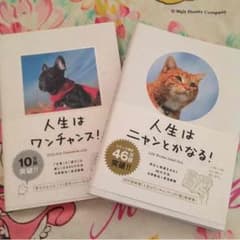 人生のわんにゃんセットのサムネイル