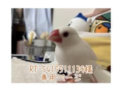 RT-5415511139様 専用ページのサムネイル