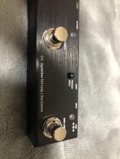 【本体のみ】スイッチャー　onecontrol agamidaetailloopのサムネイル