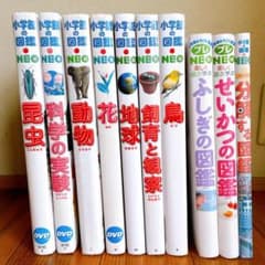 小学館の図鑑NEO 10冊セット - メルカリ