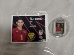 ワールドチャレンジ2025 サンバーズレプリカユニフォーム 小川智大 L