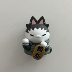 NARUTO 나루토 냐르트 불어 고양이 우즈마키 나루토와 동료들 편 나라 시카마루