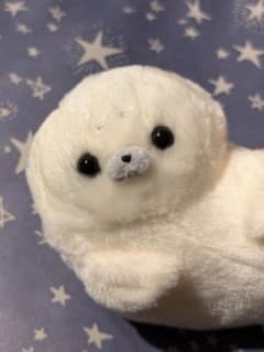 ほわほわアザラシちゃん くつろぎ マスコット ほわほわちゃん