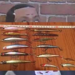 ルアーセットのサムネイル